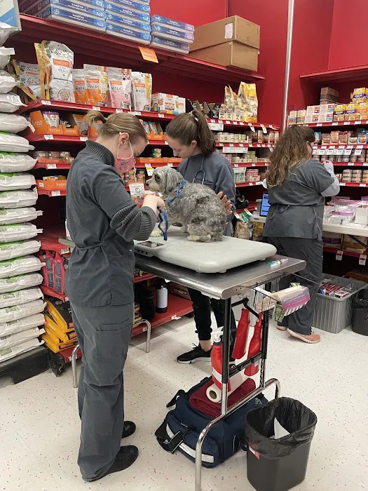 Petco Picture 2