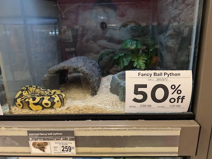 Petco Picture 8