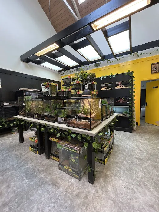 Spider Shoppe Exotic Pets & Supplies Picture 2