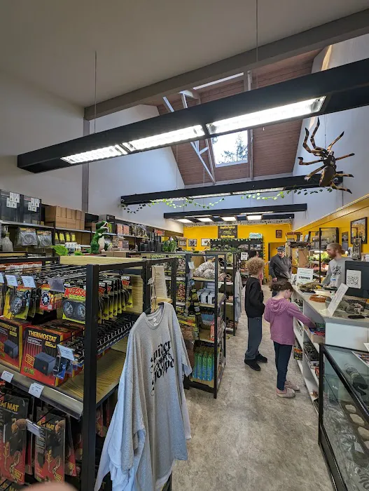 Spider Shoppe Exotic Pets & Supplies Picture 8