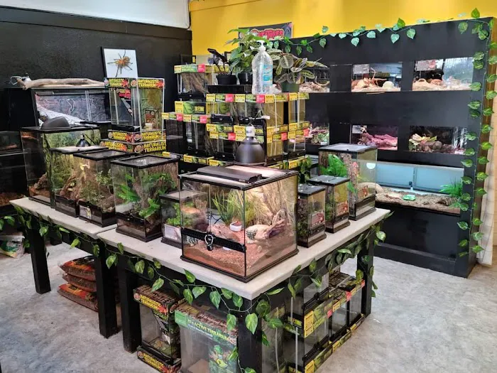 Spider Shoppe Exotic Pets & Supplies Picture 6