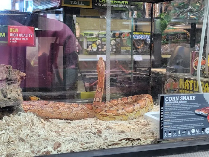 Spider Shoppe Exotic Pets & Supplies Picture 9
