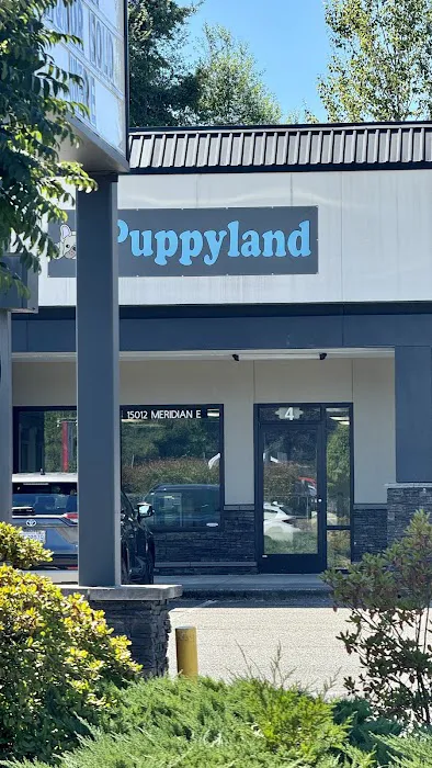 Puppyland Puyallup Picture 1