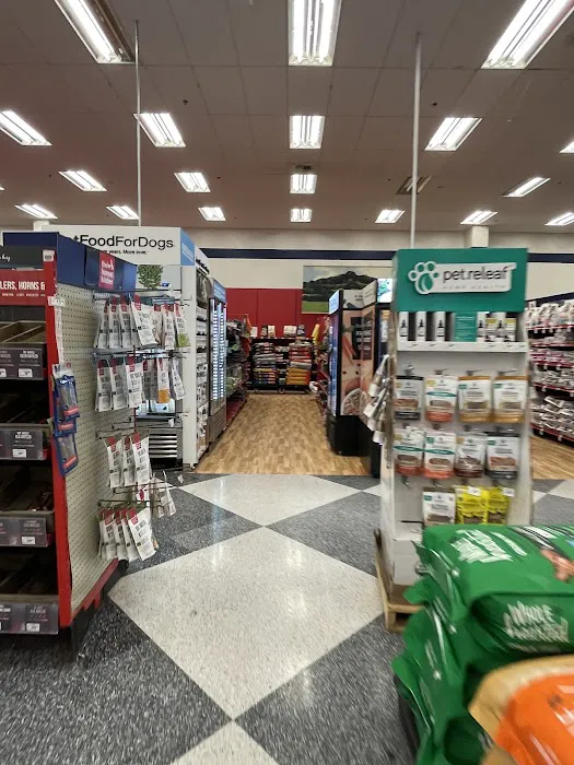 Petco Picture 4
