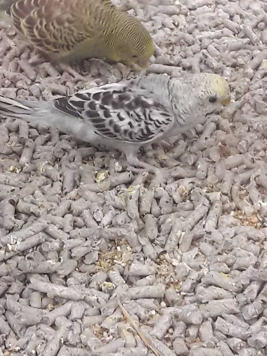 Petco Picture 8