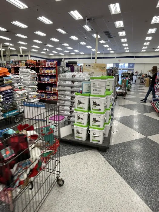 Petco Picture 9