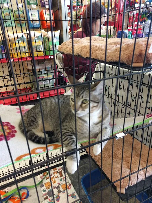Petco Picture 10