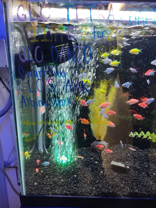 Aquarium Paradise Picture 4