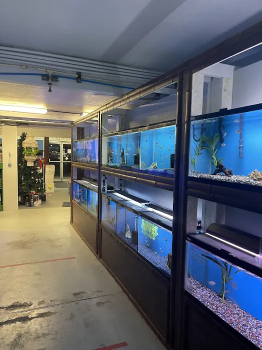 Aquarium Paradise Picture 5