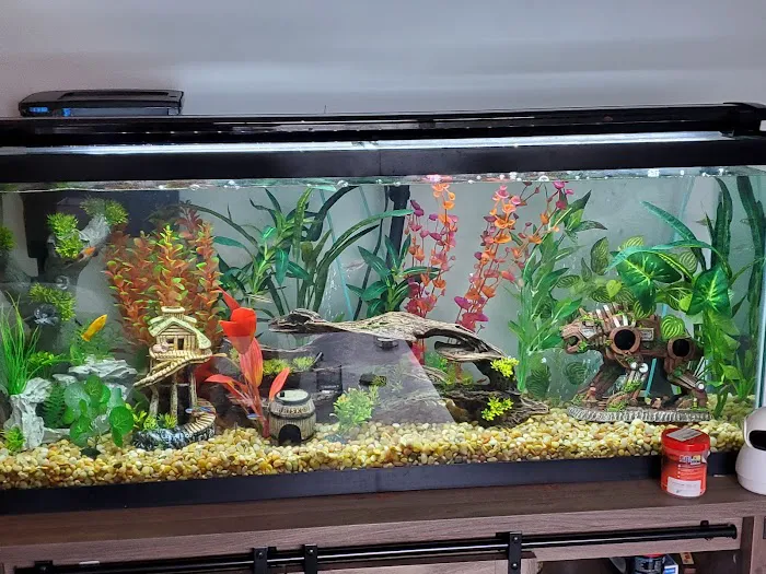 Aquarium Paradise Picture 6