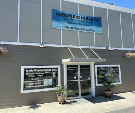 Aquarium Paradise