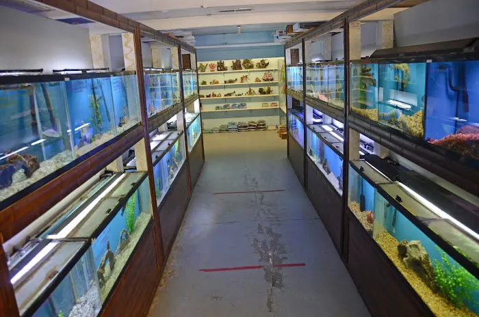 Aquarium Paradise Picture 2