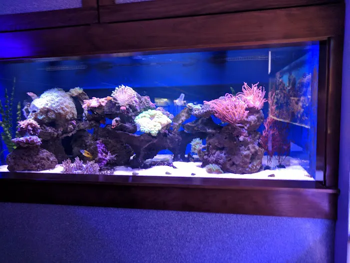 Aquarium Paradise Picture 10