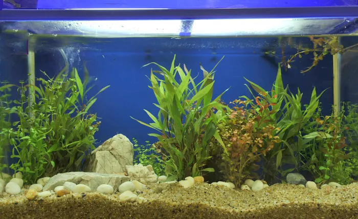 Aquarium Paradise Picture 9