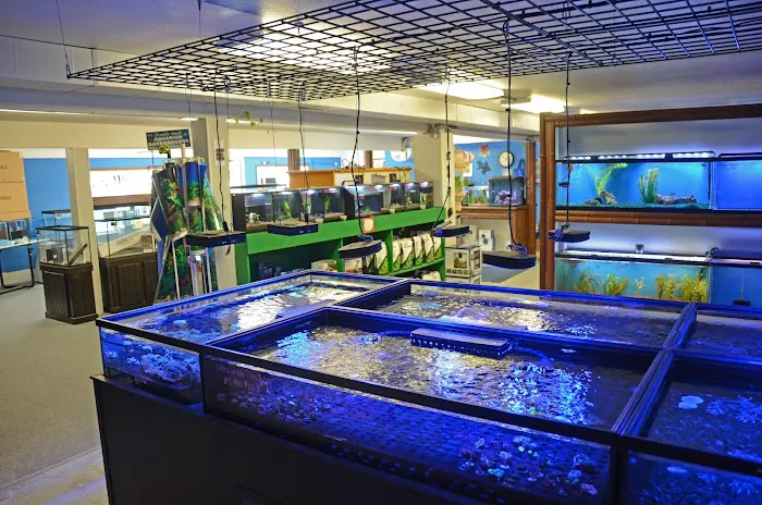 Aquarium Paradise Picture 8