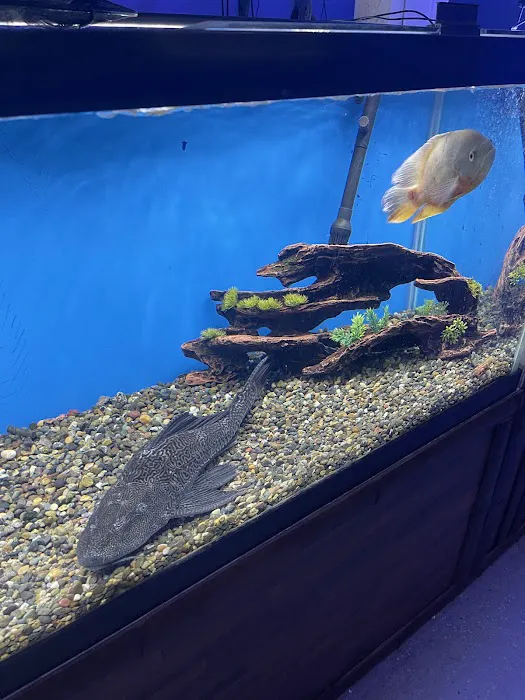 Aquarium Paradise Picture 7