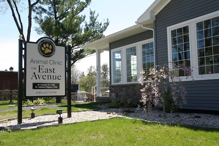 Animal Clinic of East Avenue Picture 8