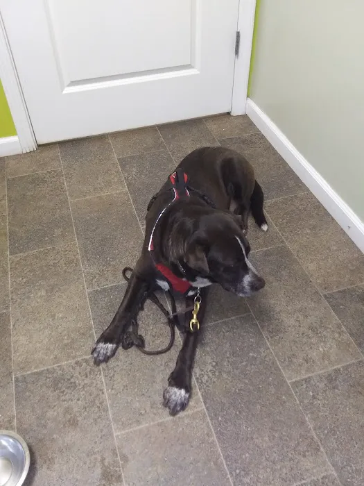 Animal Clinic of East Avenue Picture 10