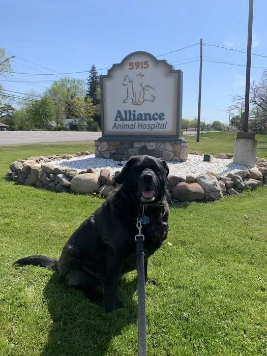 Alliance Animal Hospital Picture 3