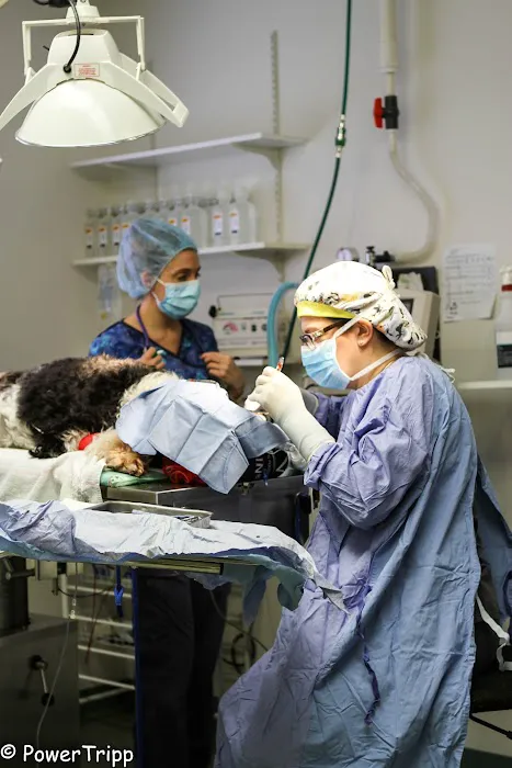Alliance Animal Hospital Picture 6