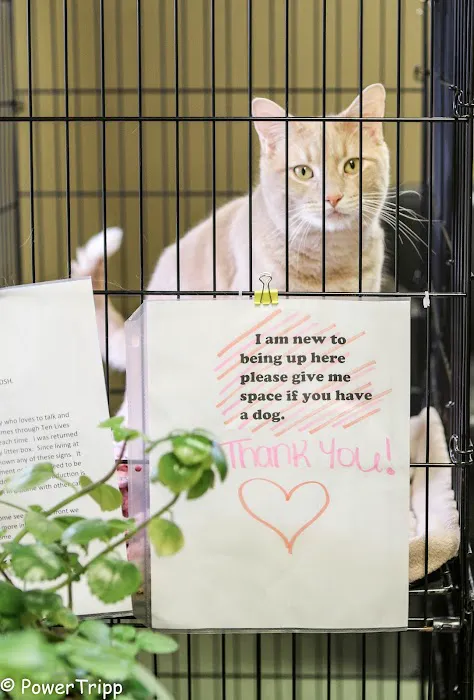Alliance Animal Hospital Picture 5