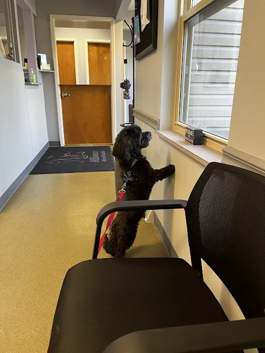 Alliance Animal Hospital Picture 10
