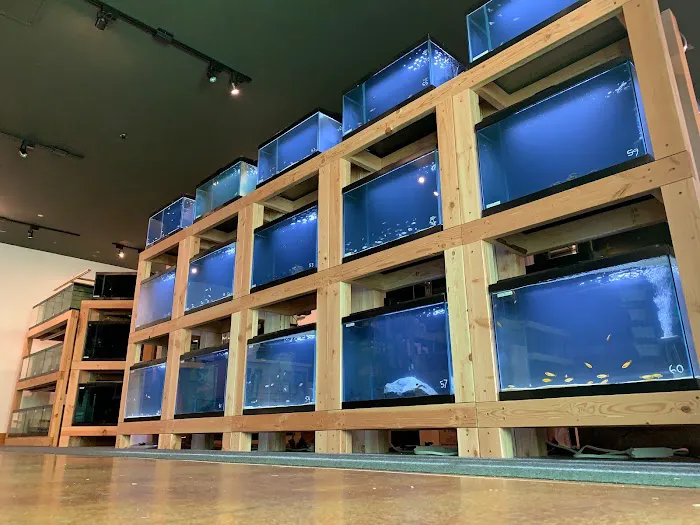 Red Fish Blue Fish Picture 5