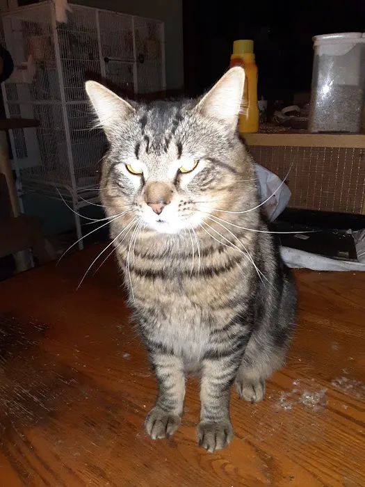 Seneca Animal Hospital Picture 6
