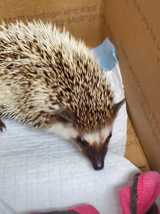 Seneca Animal Hospital Picture 4