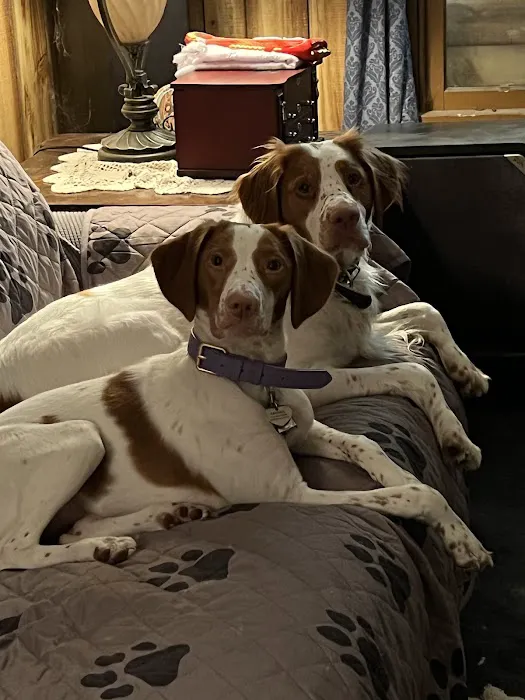 Seneca Animal Hospital Picture 7