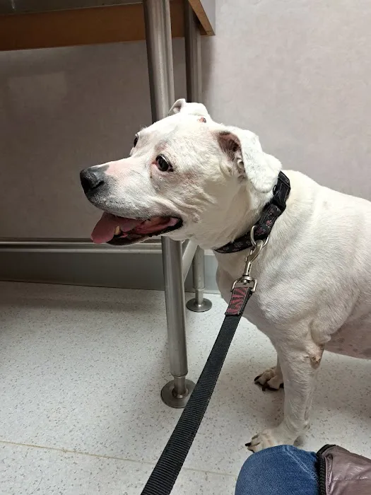 Seneca Animal Hospital Picture 8