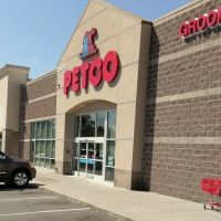 Petco ico