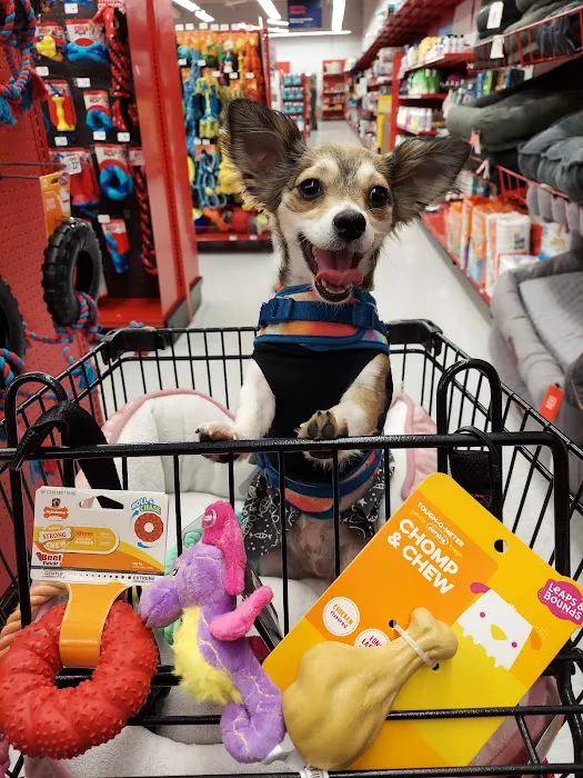 Petco Picture 2