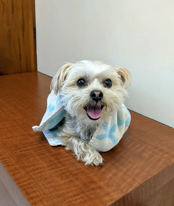 True Care Veterinary Hospital Picture 2