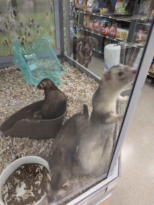 Petco Picture 1