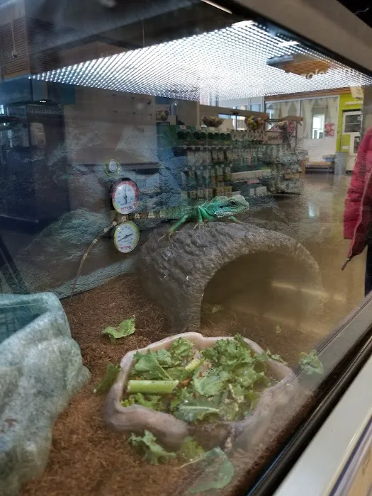 Petco Picture 2
