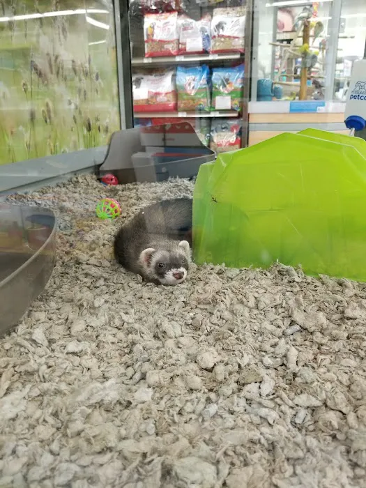 Petco Picture 6
