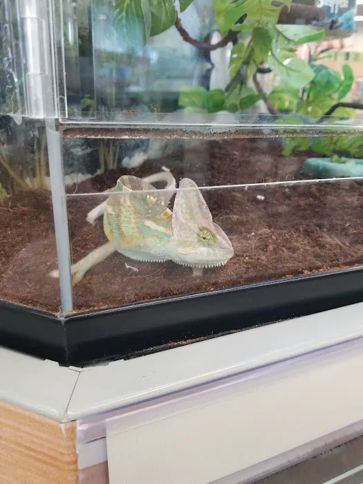 Petco Picture 8