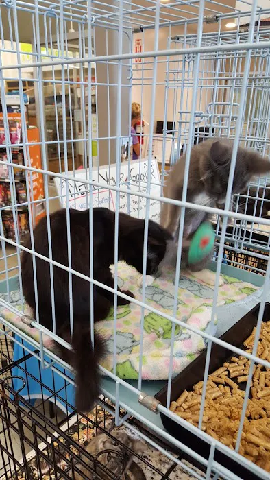 Petco Picture 9