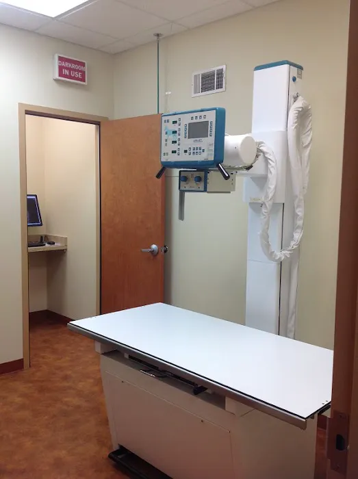 Harris Hill Animal Hospital Picture 2
