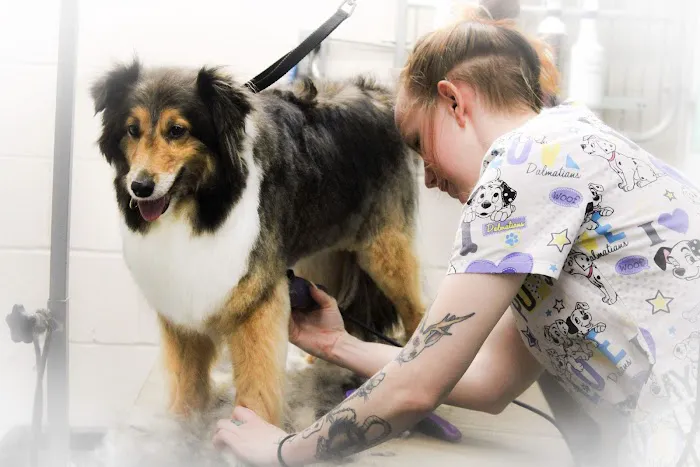 Harris Hill Animal Hospital Picture 7
