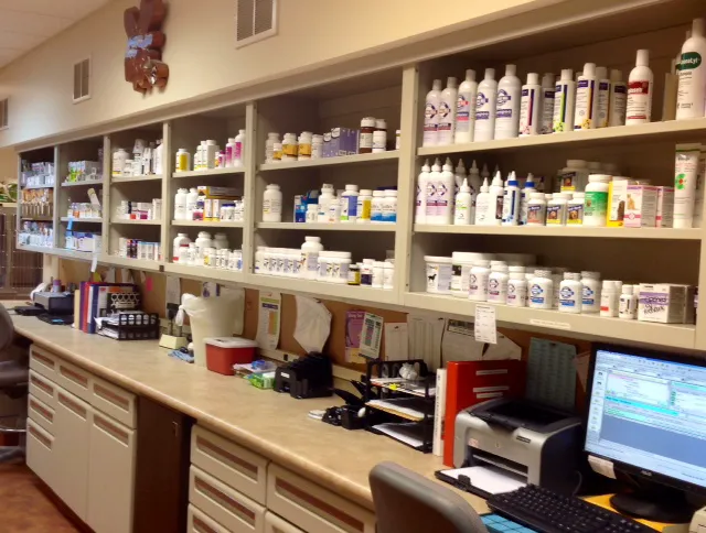 Harris Hill Animal Hospital Picture 9