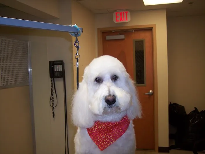 Harris Hill Animal Hospital Picture 10
