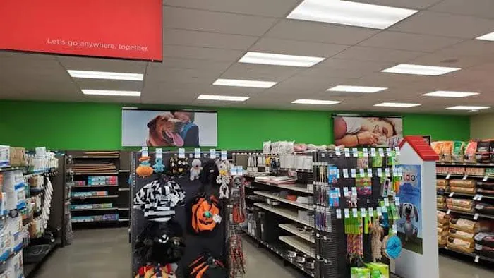 Petco Picture 1