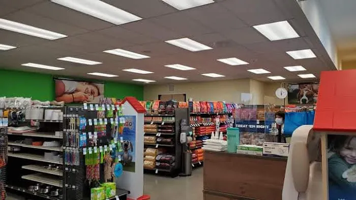 Petco Picture 3