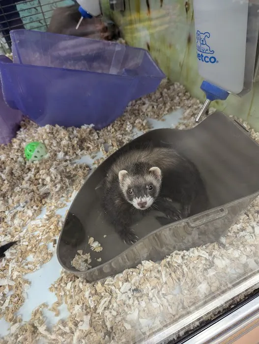 Petco Picture 6