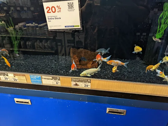 Petco Picture 5