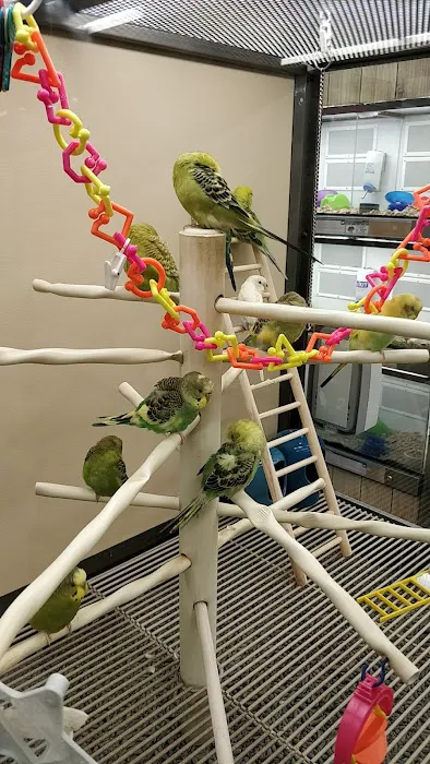 Petco Picture 4