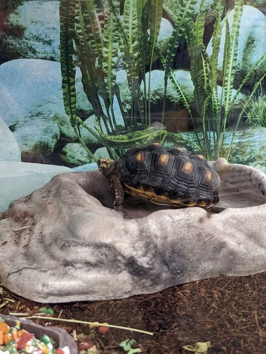 Petco Picture 7