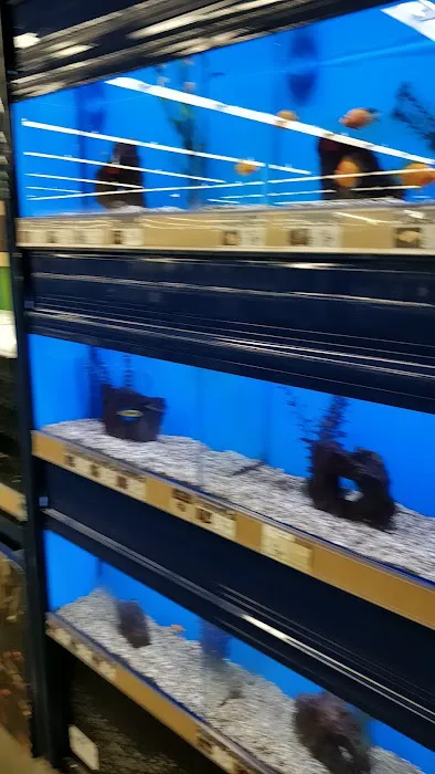 Petco Picture 9